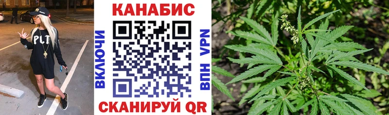 МАРИХУАНА сатива  Ладушкин 